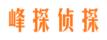 东乡族市私家侦探